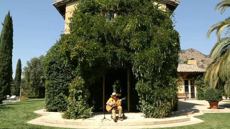 Bruce Cockburn - Napa