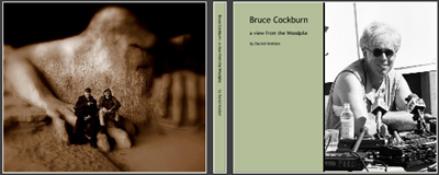 Bruce Cockburn-View From the Woodpile-Photos from soundchecks and performances by Daniel Keebler