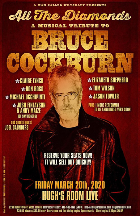 All The Diamonds - Bruce Cockburn Tribute Hugh's Room - Michael Wrycraft