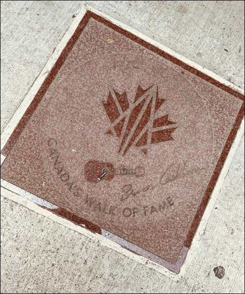 Bruce Cockburn Walk of Fame Hometown Star