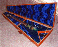 The case and the Flying V